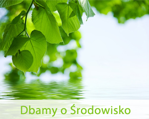 Dbamy o środowisko